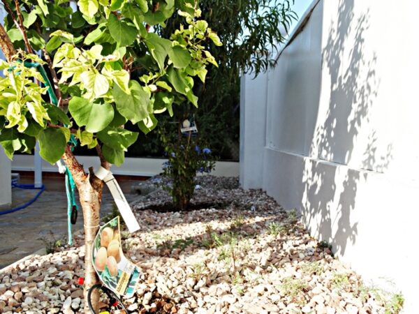 Chalet en Los Altos, Torrevieja - Imagen 16